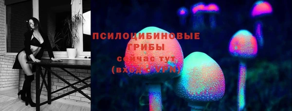 тгк Алзамай