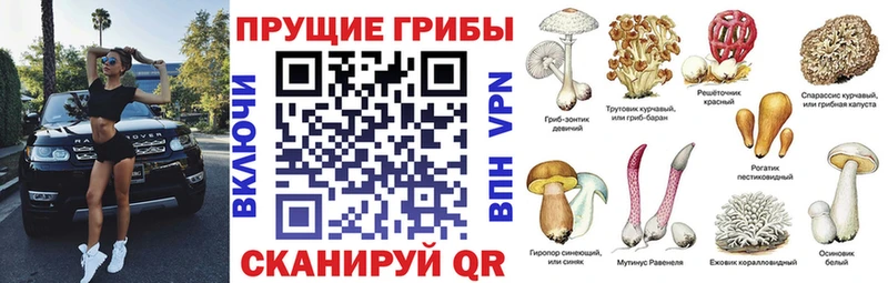 Галлюциногенные грибы ЛСД Заинск