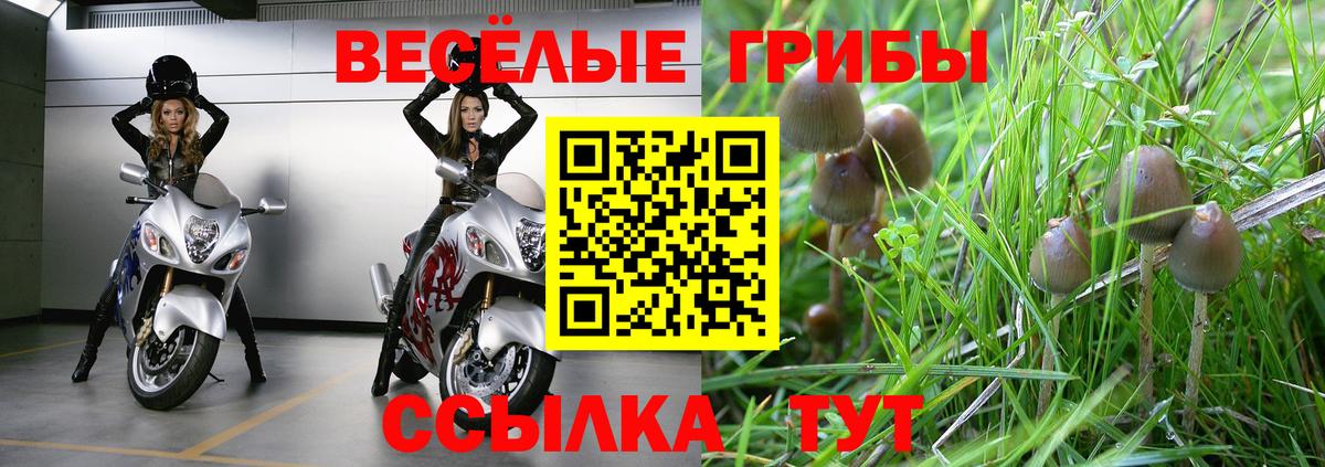 Заинск  Псилоцибиновые грибы Psilocybine cubensis  Вход с VPN  Галлюциногенные грибы GOLDEN TEACHER 